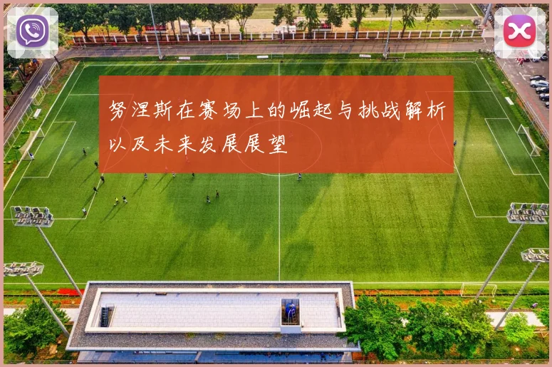 努涅斯在赛场上的崛起与挑战解析以及未来发展展望