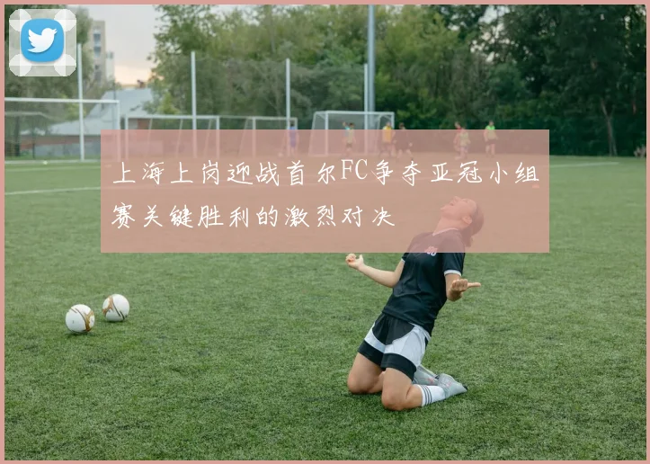上海上岗迎战首尔FC争夺亚冠小组赛关键胜利的激烈对决
